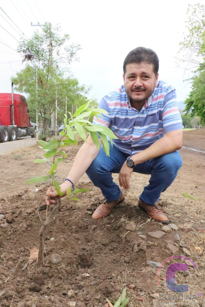 Plantan árboles en la Unidad Deportiva.